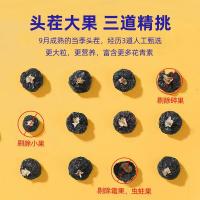 杞里香（Qi Li Xiang）黑枸杞礼盒 120g（单位：盒）