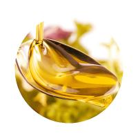 米妹妹（MIMEIMEI）  吉食送福葵花籽油 礼盒装 一级 744ml（248ml*3）（单位：盒）