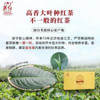 英红 特级金毛毫 英德红茶 6g*36包/盒 （单位：盒）