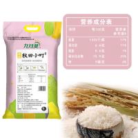 九月葵 秋田小町 大米 10kg 真空包装（单位：袋）