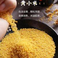 米妹妹（MIMEIMEI） 内蒙古黄小米 小米 1kg 真空包装 （单位:袋）