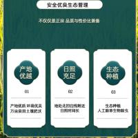 中香  帝之享古辣香 米 真空包装 500g （单位:袋）