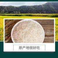 中香  帝之享古辣香 米 真空包装 500g （单位:袋）