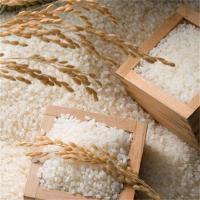 咪然 东北五常 鲜米 2.5kg (单位: 袋) 真空包装
