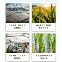 中香 泰优香米 5kg（单位:袋）真空包装