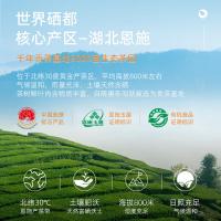 茶马世家 恩施玉露 春韵礼盒 200g(单位：盒) 新老包装随机发货