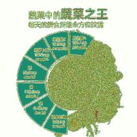 福东海（FU DONG HAI） 羽衣甘蓝 冲饮粉 新老包装随机发货 80g（5g×16条） （单位:袋）