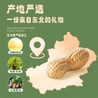 味滋源 蒜香花生500g（单位：袋）