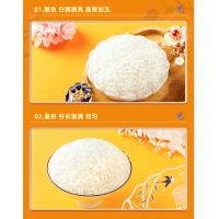 十月稻田（SHI YUE DAO TIAN） 东北大米 黑龙江产区 生态长粒香 大米 5kg/袋 真空包装 （单位:袋）