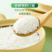 十月稻田（SHI YUE DAO TIAN） 清香稻 大米 4kg 真空包装 (单位:袋)