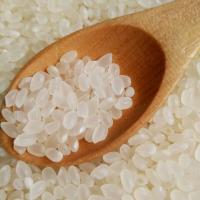 云上俏 秋田小町 大米 2.5kg 真空包装 R185秋田小町大米2.5kg真空包装 (单位:袋)