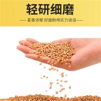 金沙河 真味多用途小麦粉 5kg（单位:袋）