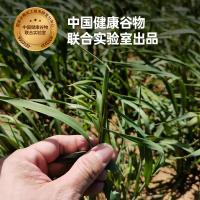 好麦多（HONlife） 速食谷物 国燕一号有机燕麦片 420g 白色（单位： 袋）