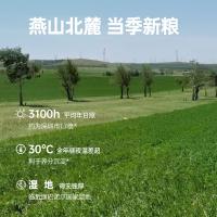 好麦多（HONlife） 速食谷物 国燕一号有机燕麦片 420g 白色（单位： 袋）