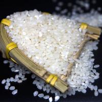 西南岗  泗洪大米 2.5kg 真空包装 (单位:袋)