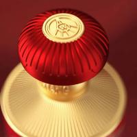 五粮液 白酒 富贵吉祥 金装浓香型 52度500ml*2瓶（单位：盒）