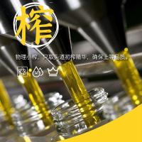 狮球唛 压榨一级 花生油 5L （单位:桶）