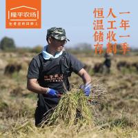 隆平芯米 五常龙凤香米 大米真空包装 5kg（单位：袋）