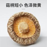 乡珍味（XIANGZHENWEI） 精选 冬香菇 300g(单位：袋)