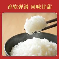 金润 金穗香米 5kg（单位:袋）真空包装