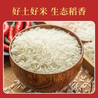 金润 金穗香米 5kg（单位:袋）真空包装
