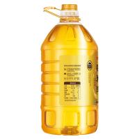 金龙鱼 特选 稻米油 5L（单位：桶）