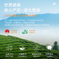 茶马世家 恩施玉露明前特级 绿茶 200g 绿色（单位：盒）