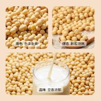 燕之坊 有机黄豆 500g 黄色（单位：袋）