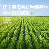 乡珍味（XIANGZHENWEI） 东北 绿豆 2.5kg(单位：瓶)