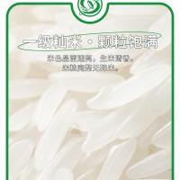 金润 金穗香米 2.5kg（单位:袋）真空包装