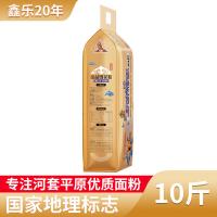 鑫乐 金品 雪花粉 5kg (单位:袋)