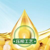 多力（MIGHTY） 压榨玉米油 一级 非转基因 4L (单位:桶)