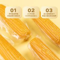 燕之坊 有机黄糯玉米礼盒 1.9kg（单位：盒）