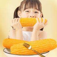 燕之坊 有机黄糯玉米礼盒 1.9kg（单位：盒）