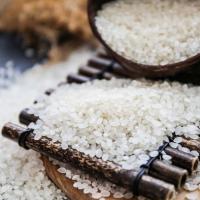 航奇 原阳黄金晴大米 2.5kg（单位：袋）真空包装