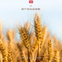 金沙河 原味 挂面 500g 白色（单位：袋）