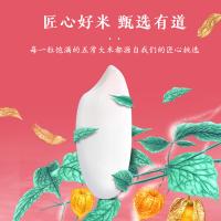 十月稻田（SHI YUE DAO TIAN） 五常大米 大米真空包装 2.5kg 红色（单位：袋）