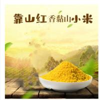 靠山红 香黏山小米 小米 真空包装 400g*6袋 绿色（单位：盒）