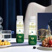 伊利 草原酸奶风味酸奶 原味 230g*10盒 (单位:提)