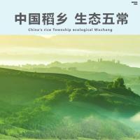 米妹妹（MIMEIMEI）五常稻花香大米真空包装（甄选）5kg（单位：袋）