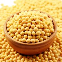 米妹妹（MIMEIMEI） 非转基因 笨榨大豆油 1.8L (单位：桶）