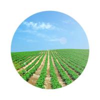 米妹妹（MIMEIMEI）一级大豆油 5L (单位：瓶）