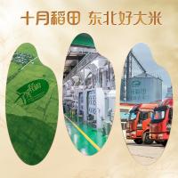十月稻田（SHI YUE DAO TIAN） 寒露秋香 长粒香大米 黑龙江产区 5kg(单位：袋) 真空包装 新老包装随机