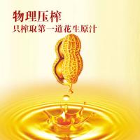 鲁花  经典5S压榨特香花生油 1.8L （单位：桶）