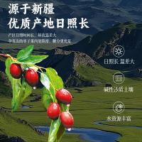 燕之坊 C50030040008 新疆灰枣 休闲果干蜜饯550g（单位：袋）