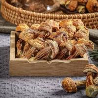 田知府 经典款 姬松茸 160g（单位：袋）