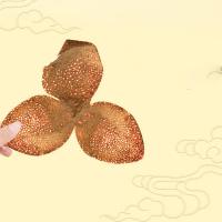 新宝堂 十年新会 陈皮蕴月瓶礼盒 250g (单位: 盒)