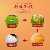 咪然 雪域珍 米 真空包装 5KG （单位:袋）