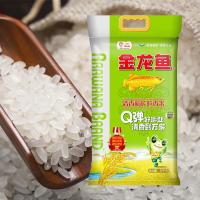 金龙鱼 清香稻长粒香米 5kg(单位:袋)真空包装 新老包装随机发货