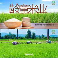 龄童大米 真空包装 贡米籼米 5kg (单位:袋)